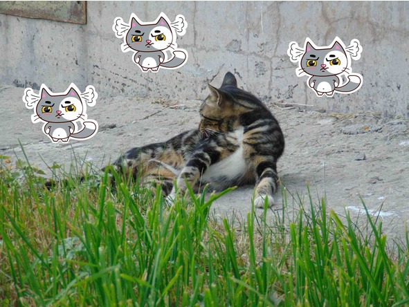 Детям о котиках - image6_56bafb480d1a390500ec13ad_jpg.jpeg