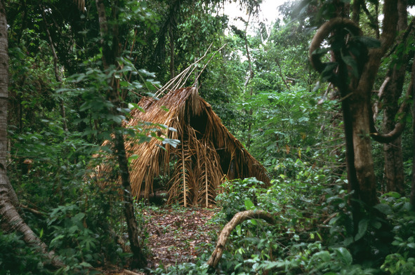 Среди индейцев центральной Венесуэлы - image11_5618f80ab1b2240e46481a5e_jpg.jpeg