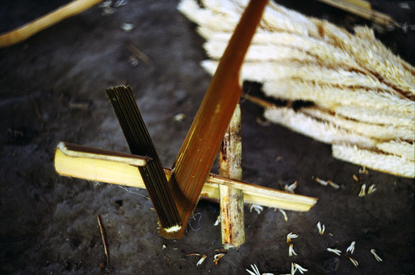 Среди индейцев центральной Венесуэлы - image19_561910dbb1b2240e464825a5_jpg.jpeg