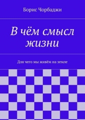 В чём смысл жизни - автор Чорбаджи Борис 