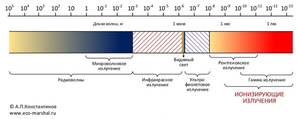 Занимательная радиация - image2_5683a4ca20ec86af34d1c091_jpg.jpeg