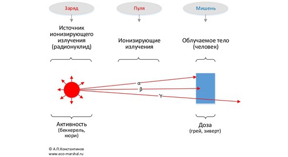 Занимательная радиация - image5_5683a8e320ec86af34d1c2f2_jpg.jpeg