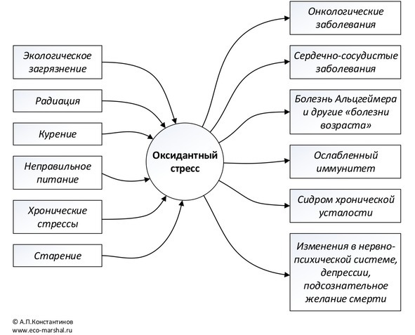 Занимательная радиация - image7_5683ab5f20ec86af34d1c408_jpg.jpeg