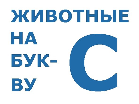 О животных по алфавиту. Книга девятая. Животные на С (продолжение) - image0_56a22a9d7a28b7d956960c39_jpg.jpeg