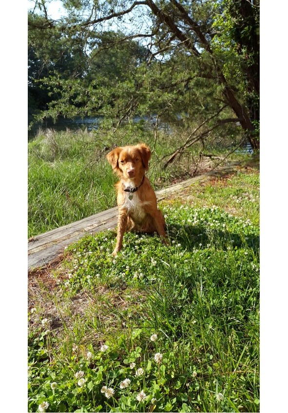 Новые истории о девочке Полине - image2_56587f7e29c06d373cfc64f1_jpg.jpeg