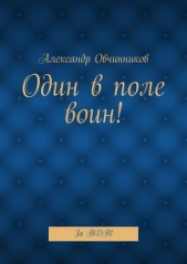 Один в поле воин! - автор Овчинников Александр 