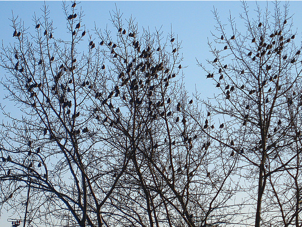 Вкус боли - image29_56d47f7b034f870600300ed5_jpg.jpeg