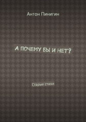  Пинигин Антон - А почему бы и нет?