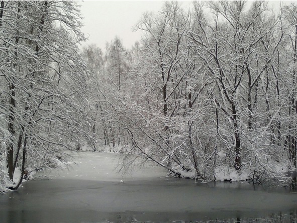 Первый мир на грани разума - image1_5694ce40e3193c4907d5db8f_jpg.jpeg