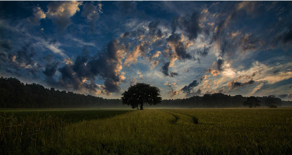 Это всё твоё, моё - image26_5671d6555401b519381068e0_jpg.jpeg