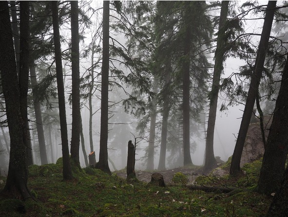 Это всё твоё, моё - image27_5671d66e5401b519381068f0_jpg.jpeg