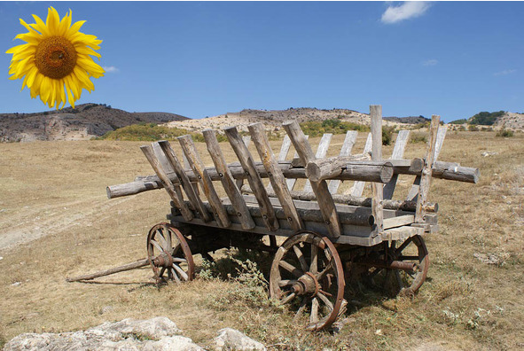 Это всё твоё, моё - image8_5671a8c45401b51938104575_jpg.jpeg