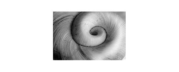 Озорушки - image8_5577204ff942bf6a64075f96_jpg.jpeg