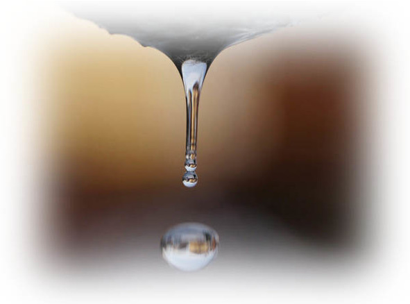 Времена года. Весна - image15_56573ec8fc6cac850662c3ed_jpg.jpeg