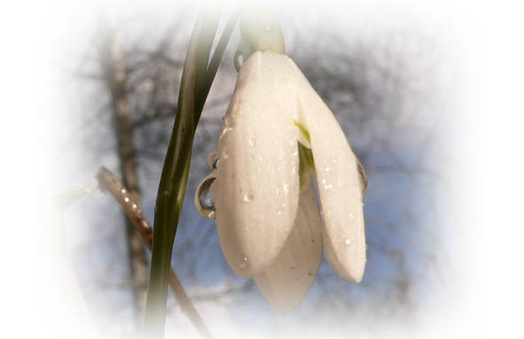 Времена года. Весна - image16_56573f46fc6cac850662c444_jpg.jpeg