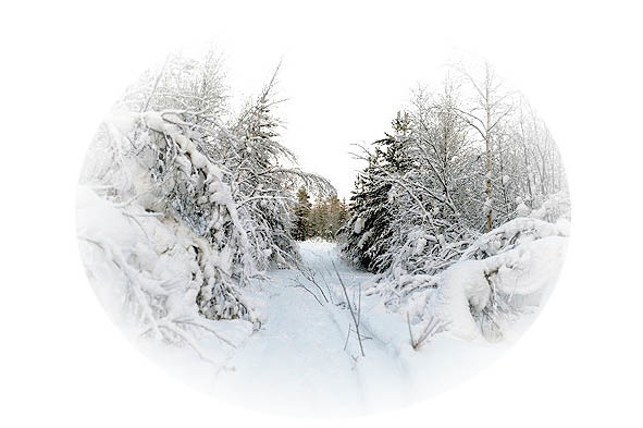 Времена года. Весна - image18_56574132fc6cac850662c4f7_jpg.jpeg