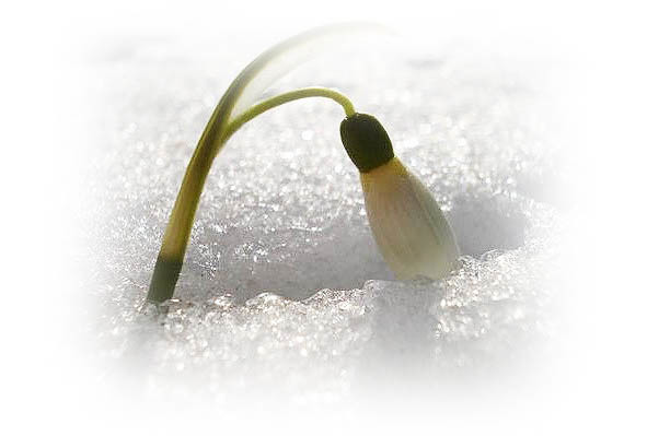 Времена года. Весна - image19_5657418ffc6cac850662c53b_jpg.jpeg