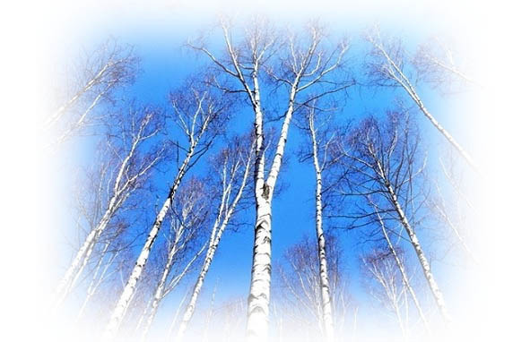 Времена года. Весна - image20_56574209fc6cac850662c586_jpg.jpeg