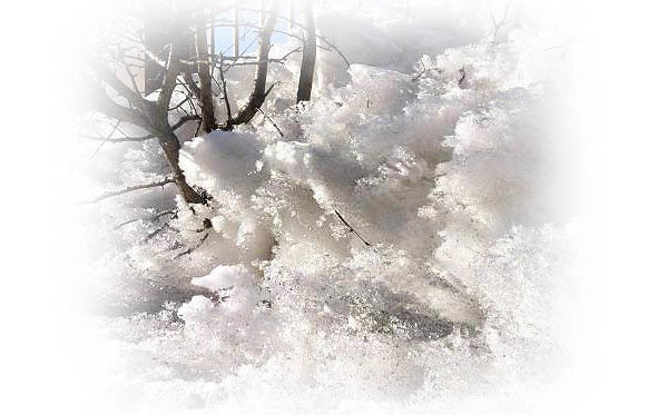 Времена года. Весна - image23_565743d4fc6cac850662c64e_jpg.jpeg