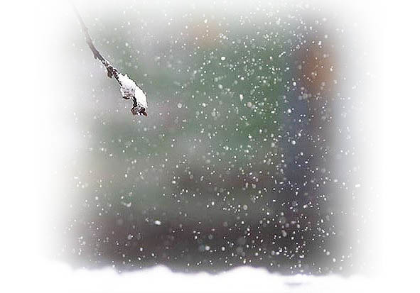 Времена года. Весна - image24_565744e5fc6cac850662c6a9_jpg.jpeg