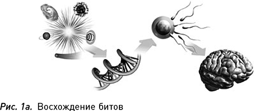 Программируя Вселенную. Квантовый компьютер и будущее науки - i_001.png