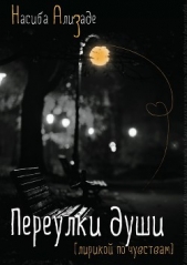  Ализаде Насиба - Переулки души