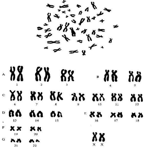 Биология - image38_5660775b0f9be1bc0d92b3b7_jpg.jpeg