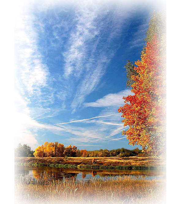 Времена года. Осень - image1_565615ee93732dfa171f7f0d_jpg.jpeg