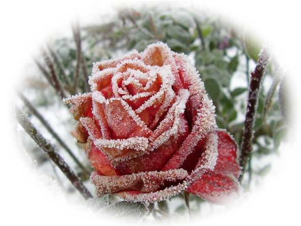 Времена года. Осень - image18_5656234093732dfa171f85b3_jpg.jpeg