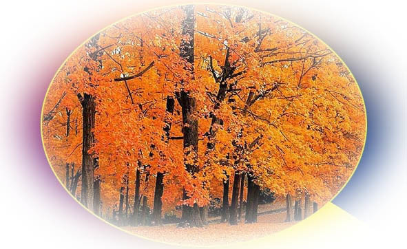 Времена года. Осень - image20_5656240993732dfa171f85e8_jpg.jpeg