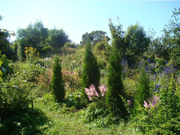 Александр II и корова Ксюша - image0_56ace75ea6153c0500bf6b76_jpg.jpeg