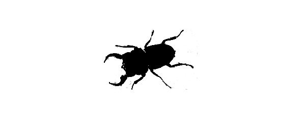 Манная каша - image2_56c598200d1a390500f21812_jpg.jpeg