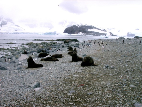 Очарование разных широт - image12_55952e00c8b50d11668d8532_jpg.jpeg