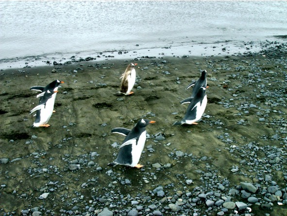 Очарование разных широт - image14_55952e5bc8b50d11668d854d_jpg.jpeg