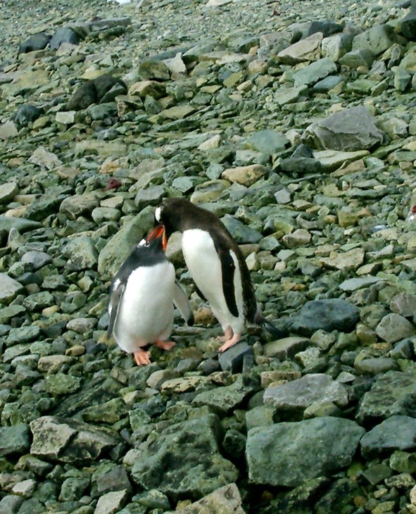 Очарование разных широт - image15_55952e77c8b50d11668d8556_jpg.jpeg