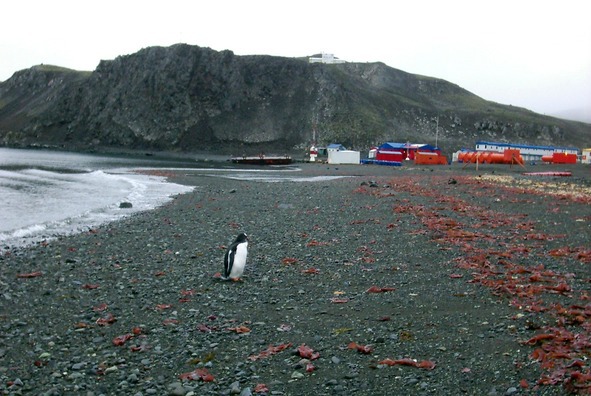 Очарование разных широт - image9_55952d77c8b50d11668d84f5_jpg.jpeg