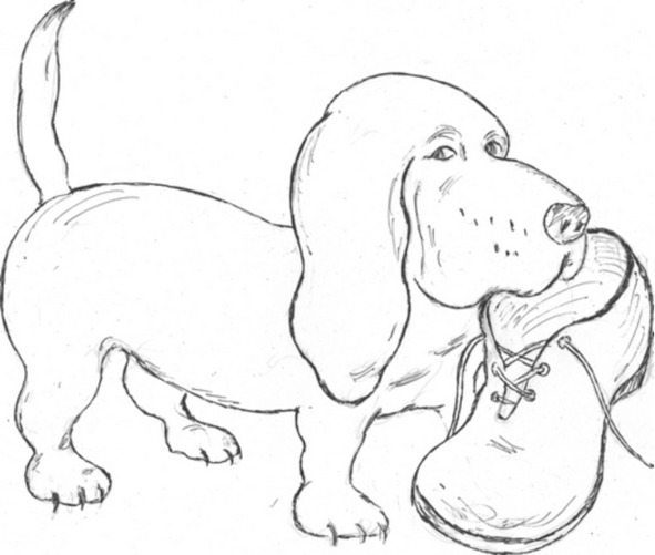 Максимкина сказка - image4_5633196b3d0e471171e9aacc_jpg.jpeg