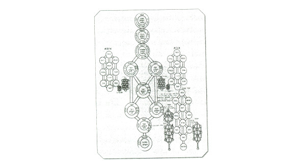 Универсальная колода карт таро - image2_56cb409b9bfe95b2524b8dfc_jpg.jpeg