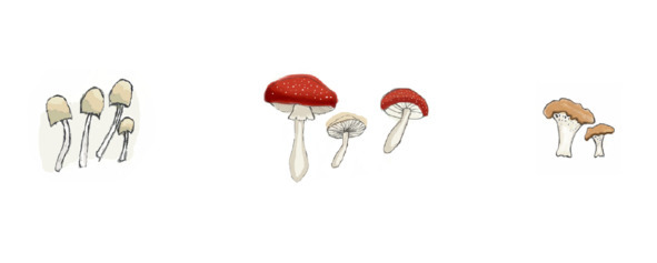 Ши по пути к себе - image6_55fa68e690ffcd5731f35016_jpg.jpeg