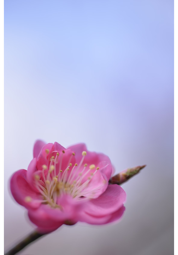 Свет, о котором мы забываем - image4_54ac3797d8fa80203a64fdc5_jpg.jpeg