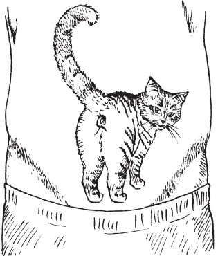 Самые модные татуировки - i_002.png