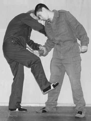 Энциклопедия самозащиты. Как выжить в мире насилия - i_009.jpg