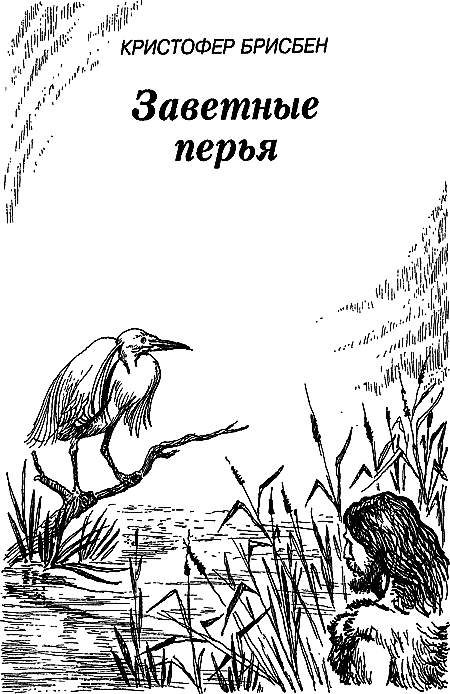 Затерянная земля (Сборник) - i_156.png