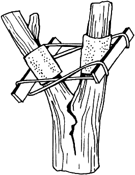 Календарь современного садовода. Защита сада и огорода от болезней и вредителей: биометод - _01.png