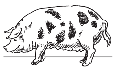 Прибыльное фермерское хозяйство на вашем участке - i_009.png