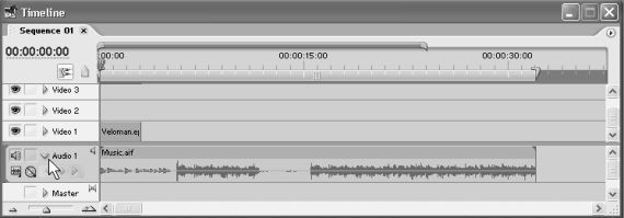 Самоучитель Adobe Premiere Pro - i_062.jpg