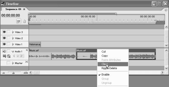 Самоучитель Adobe Premiere Pro - i_065.jpg