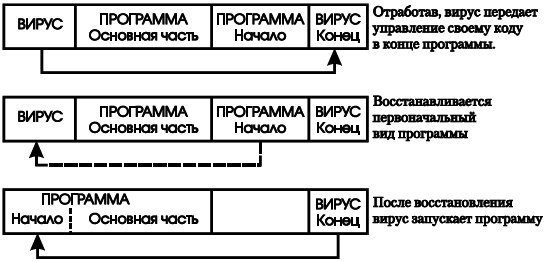 Создаем вирус и антивирус - i_004.png