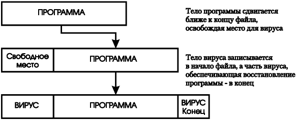 Создаем вирус и антивирус - i_005.png