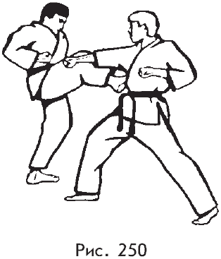 Самозащита от А до Я - i_250.png